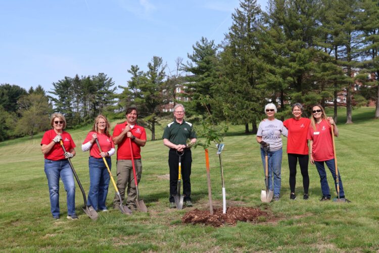 Belmont County America 250 Heritage Tree Has Been Planted